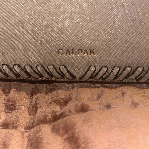 Calpak Backpack - Picture 2 of 4